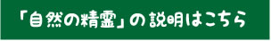 自然の精霊の説明はこちら